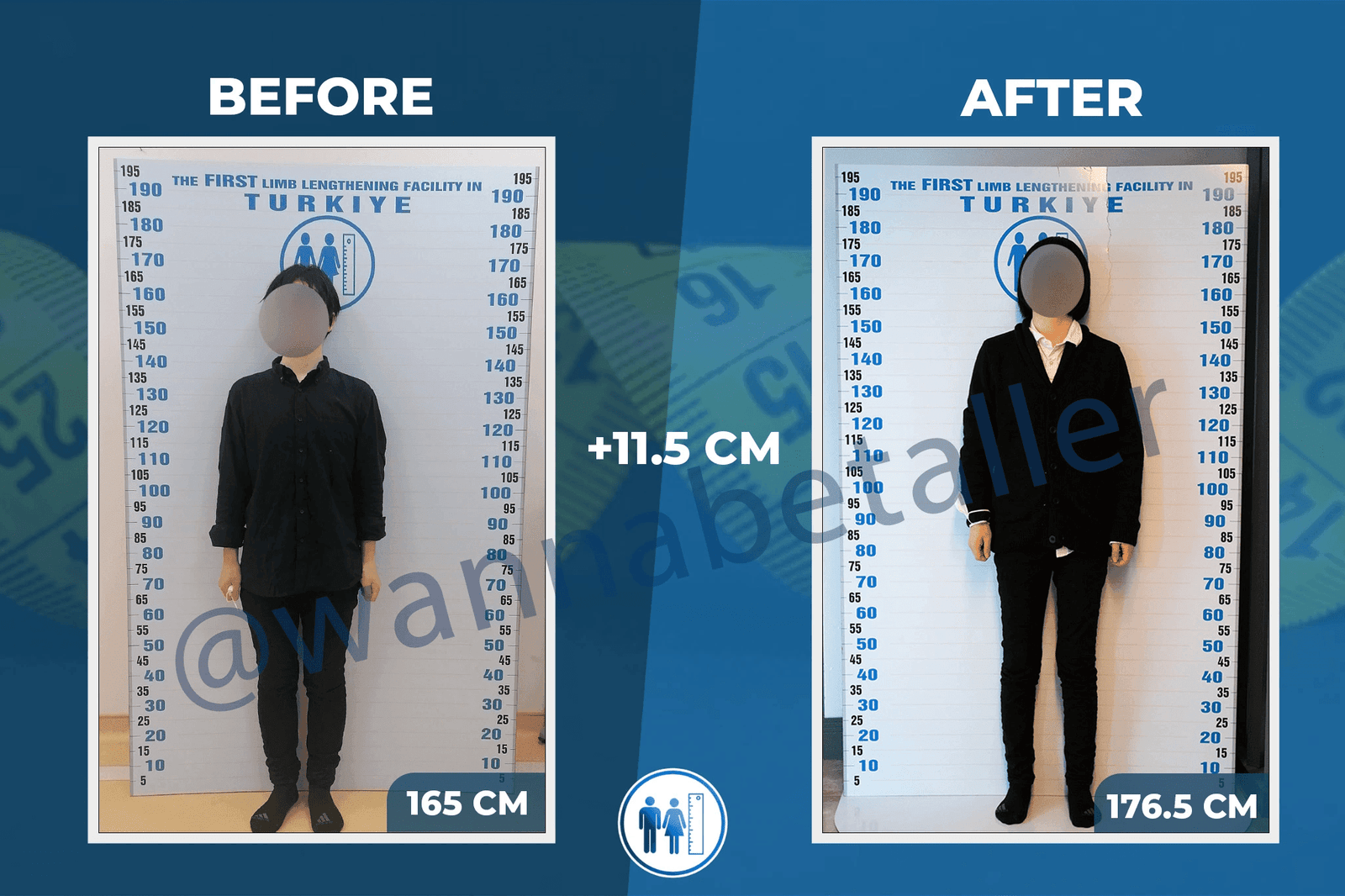 Understanding Height Preferences: What is Considered Tall in Japanese Culture?